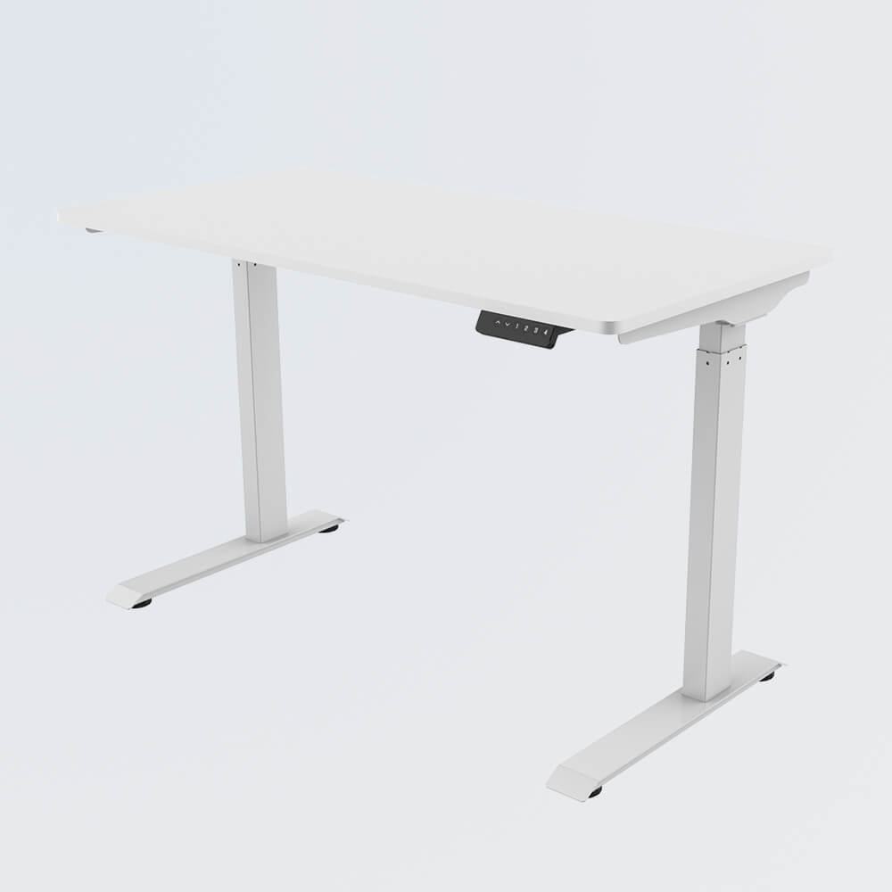 Loctek Sit Standing Desk
